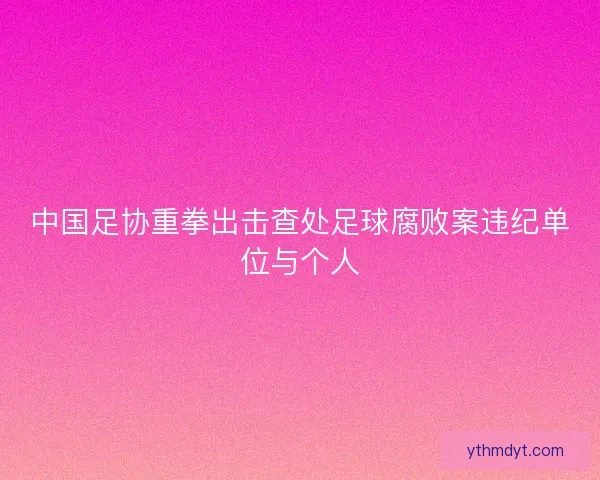 中国足协重拳出击查处足球腐败案违纪单位与个人